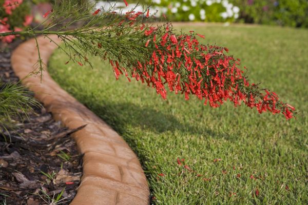 Brick Edging in Bellevue