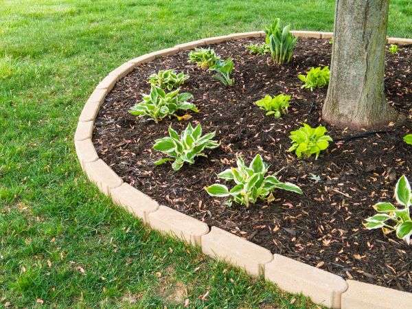 Stone Border Installation in Bellevue