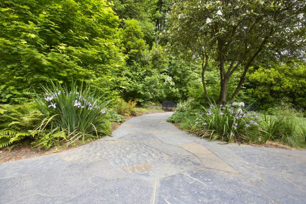 Stone Hardscape Service in Bellevue